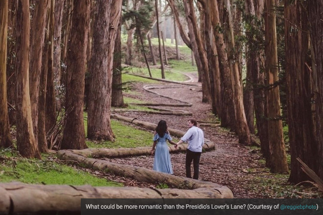 couple in woods