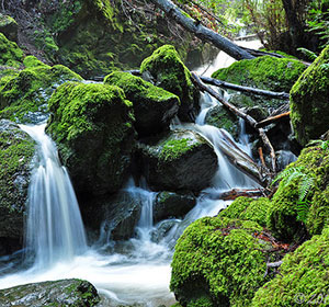 Cataract Falls, Mt. Tamalpais, Marin County, California