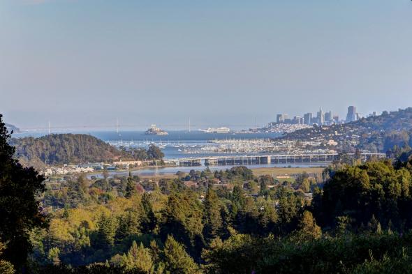24 Tamalpais Avenue, Mill Valley #24 24 Tamalpais Avenue Image #619