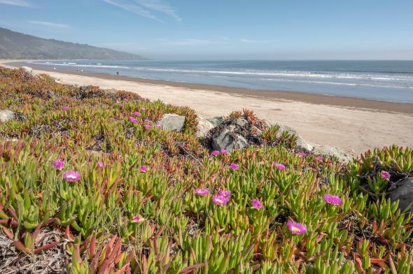 320 Seadrift Road, Stinson Beach #48 320 Seadrift Road Image #40