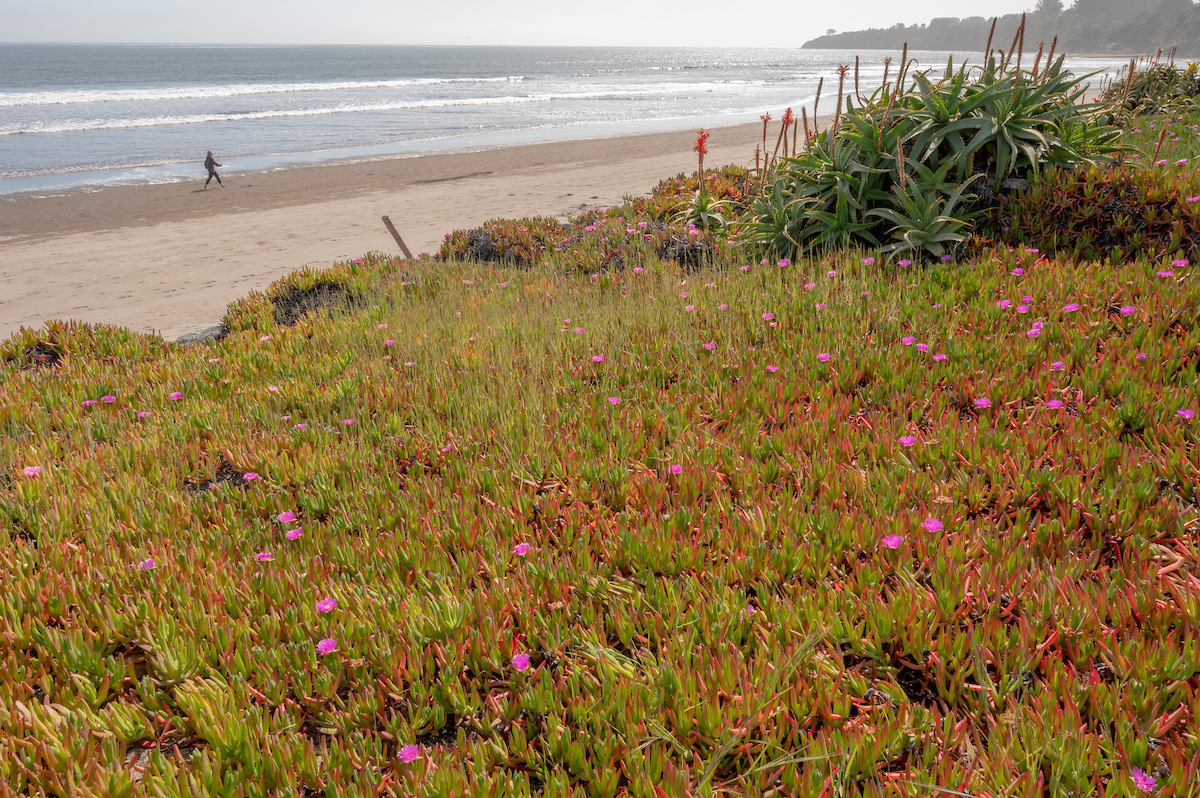 320 Seadrift Road Image #41