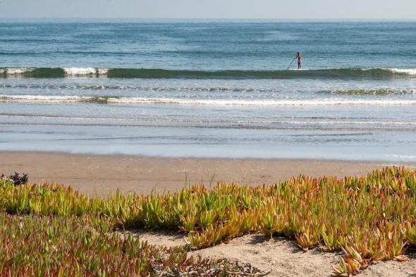320 Seadrift Road, Stinson Beach #48 320 Seadrift Road Image #42