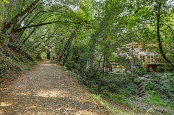 199 Madrone Avenue  Image #50