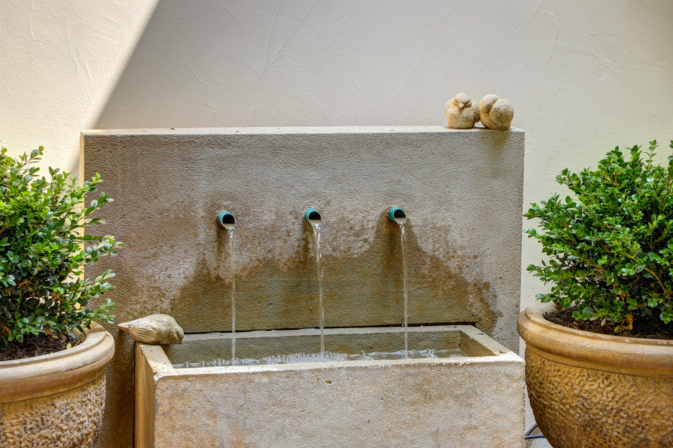 199 Madrone Avenue  Image #49