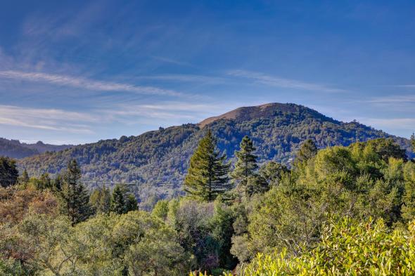 2 Madera Avenue view of Mt. Tam