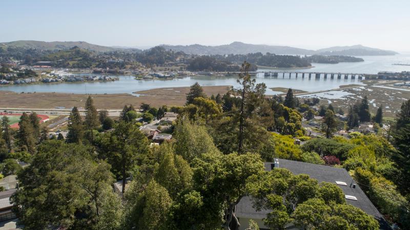 231 Princeton Avenue view of the bay Mt. Diablo and Angel Island. 