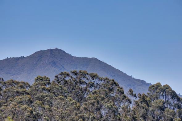 121 Toyon Lane, Sausalito #44 121 Toyon Lane Image #42