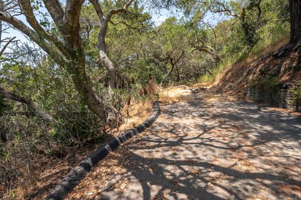 1 Via Vandyke oaks and dirt path