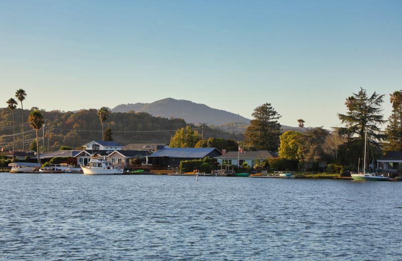 Mt tam and the bay