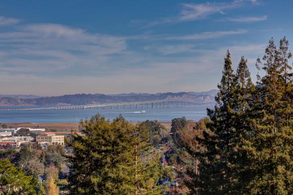 7 Merry Lane, Corte Madera #43 Richmond bridge in the background