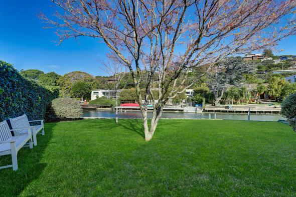 5 Hilarita Circle, Belvedere #61 5 Hilarita Circle tree on the lawn