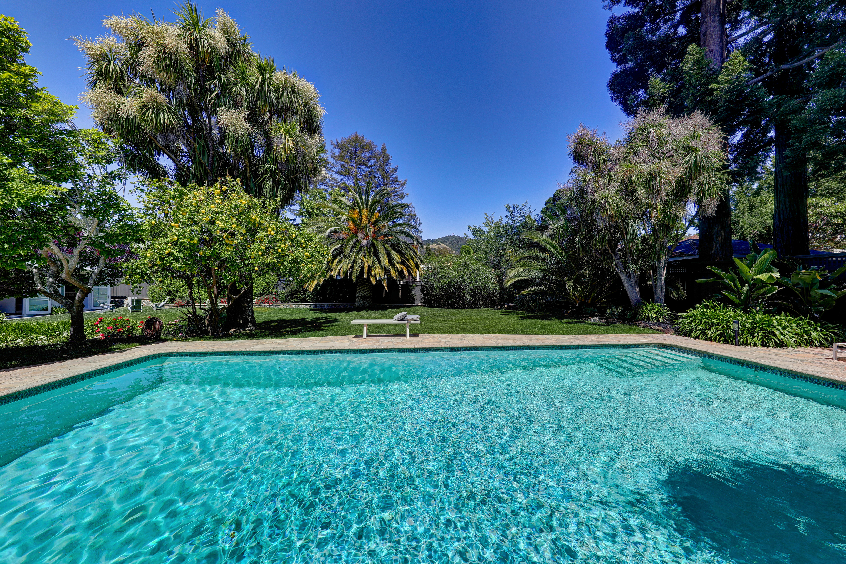 1440 Grand Avenue, San Rafael  #73