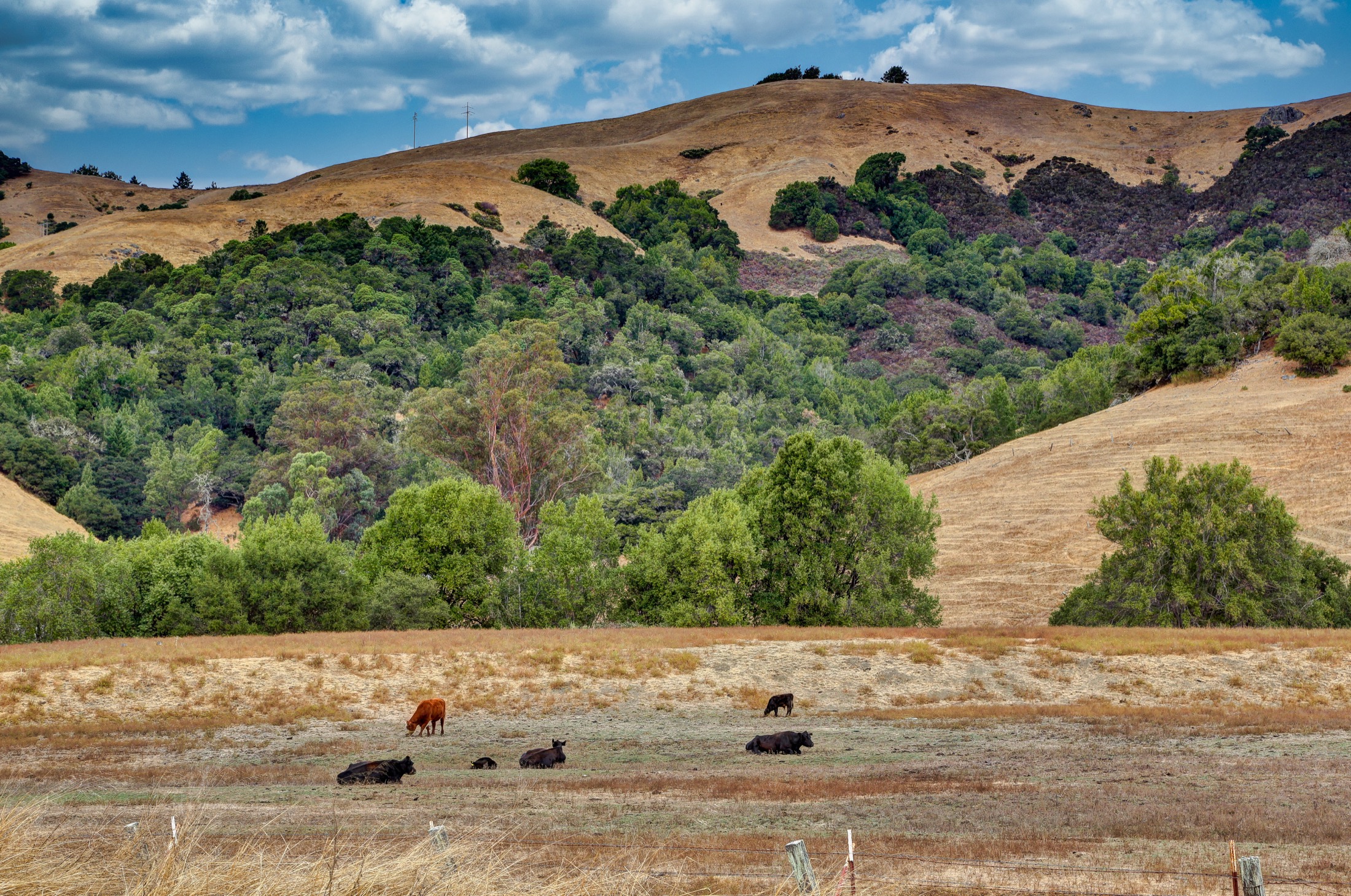 60 Arroyo Road, Forest Knolls #96