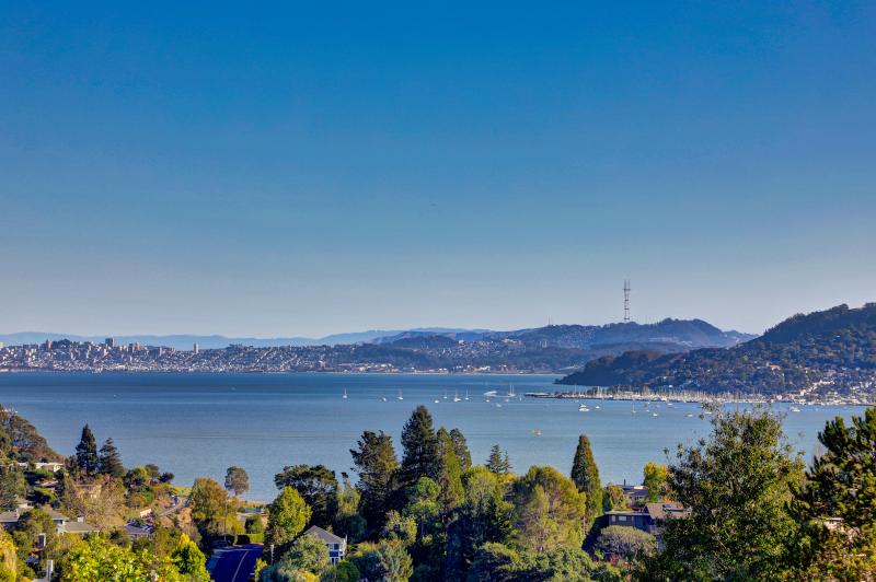 bay and sutro tower