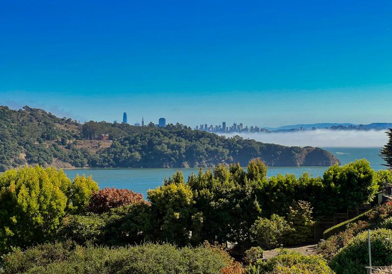 2110 Vistazo Street East, Tiburon #96