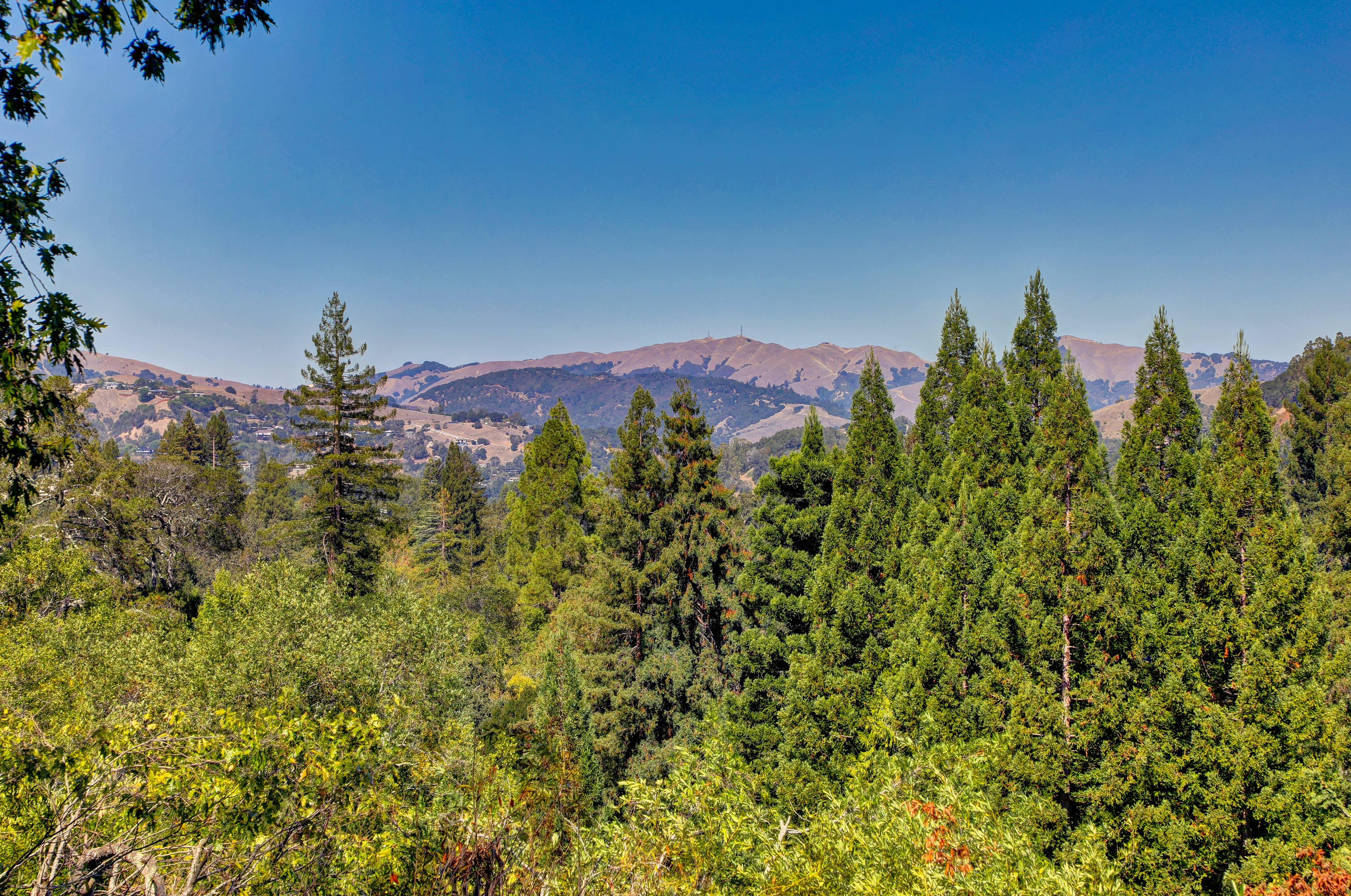 152 Hillside Avenue, Kentfield #97