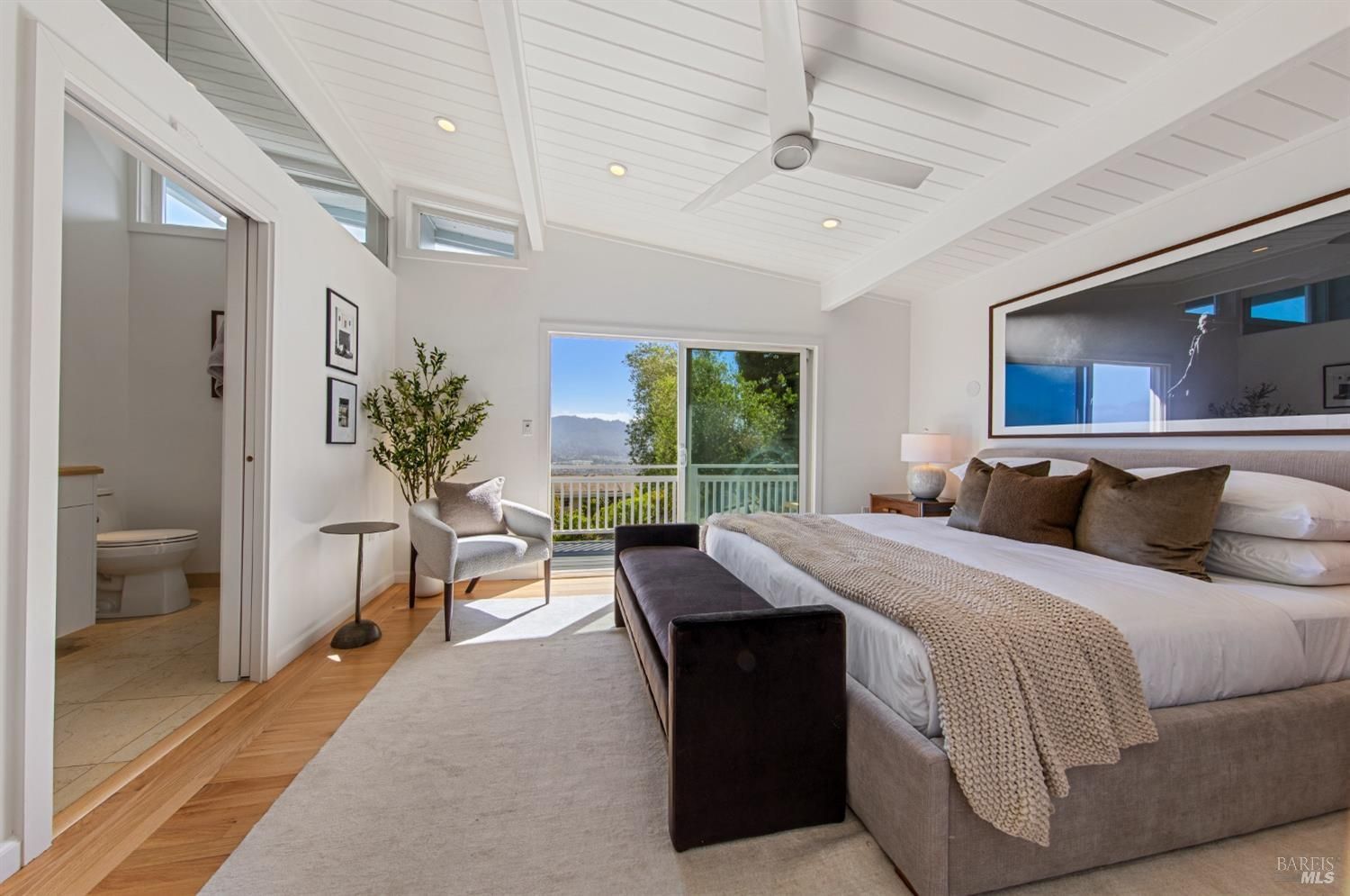 24 Via Navarro, Greenbrae #52