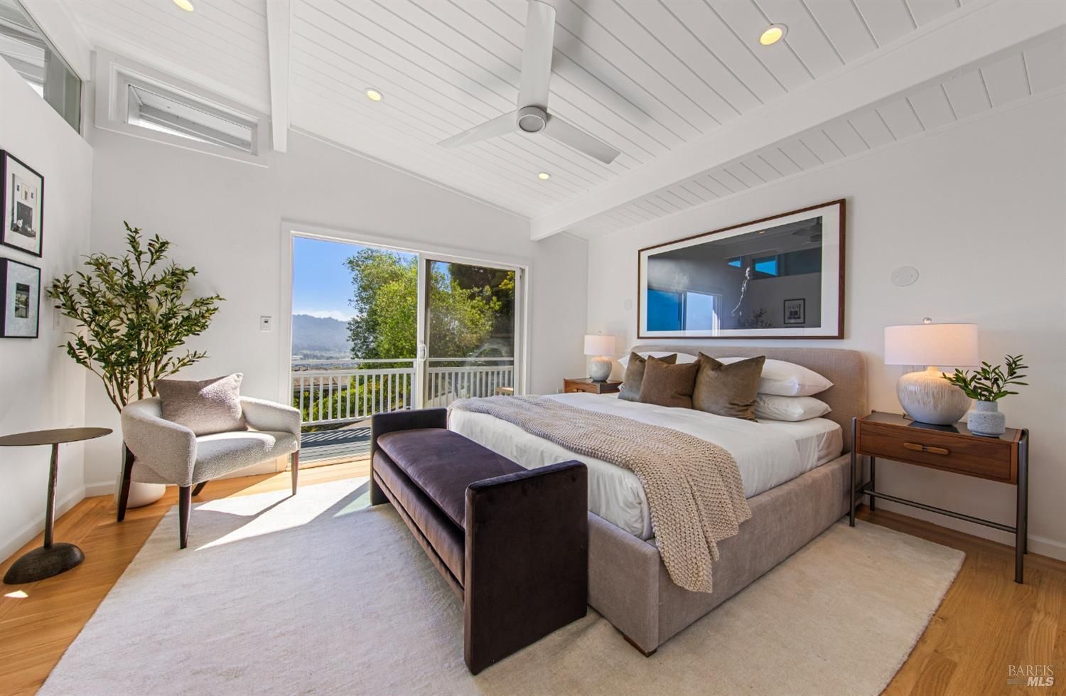 24 Via Navarro, Greenbrae #52