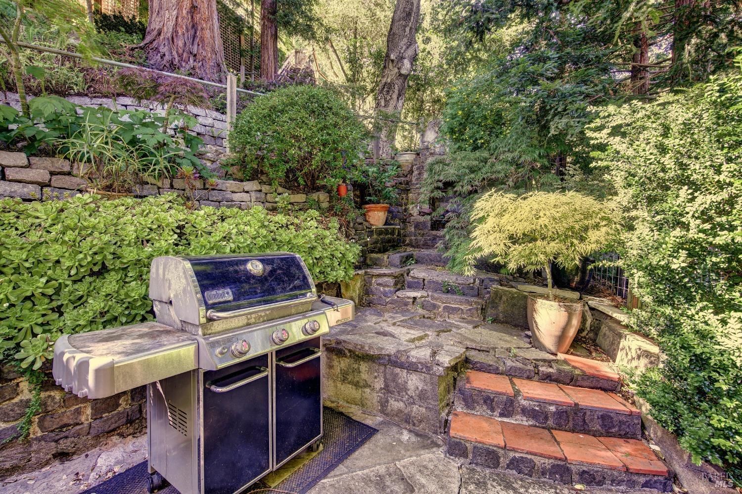 17 Oak Road, Larkspur #60