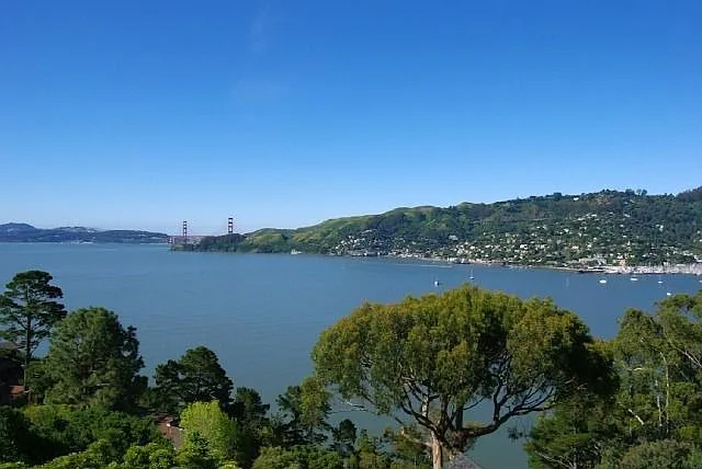 213 Golden Gate Avenue, Belvedere #1