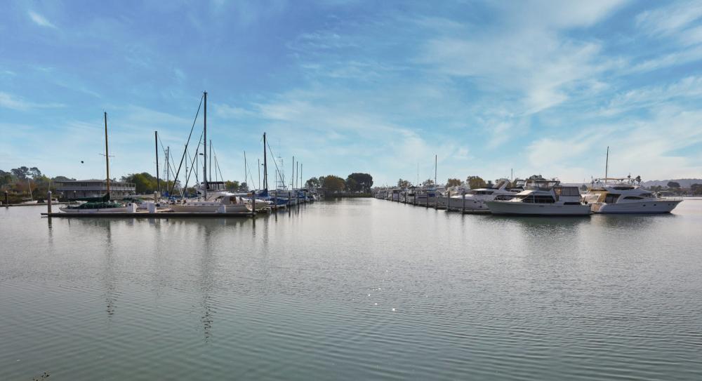 14 Sunny Oaks Dr, San Rafael #1