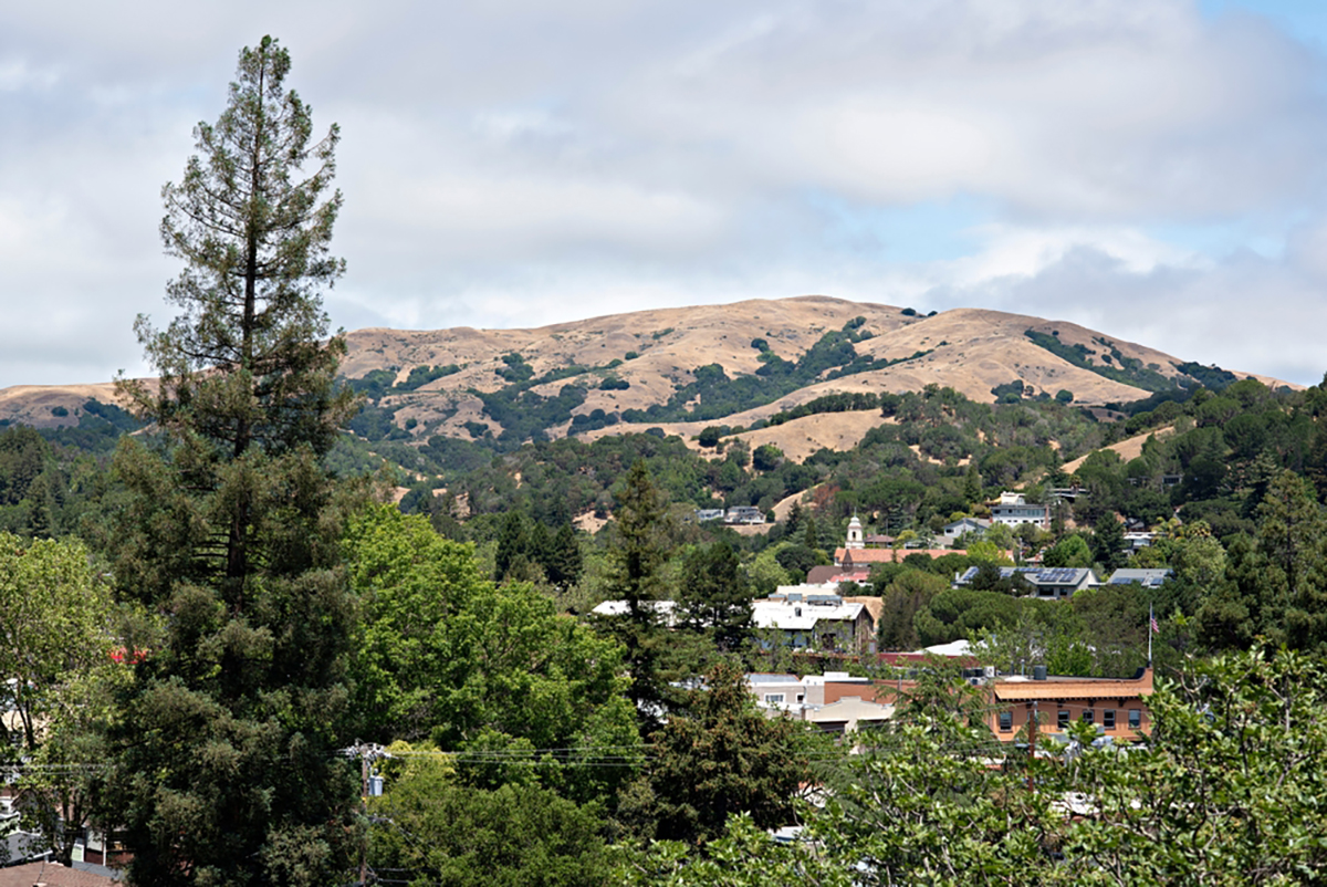 155 Forrest Avenue, Fairfax #1