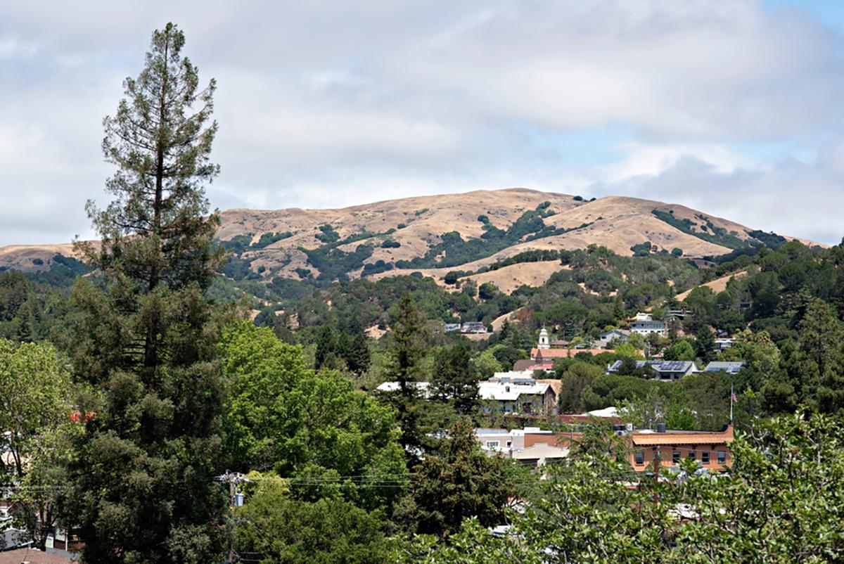 155 Forrest Avenue, Fairfax - #467