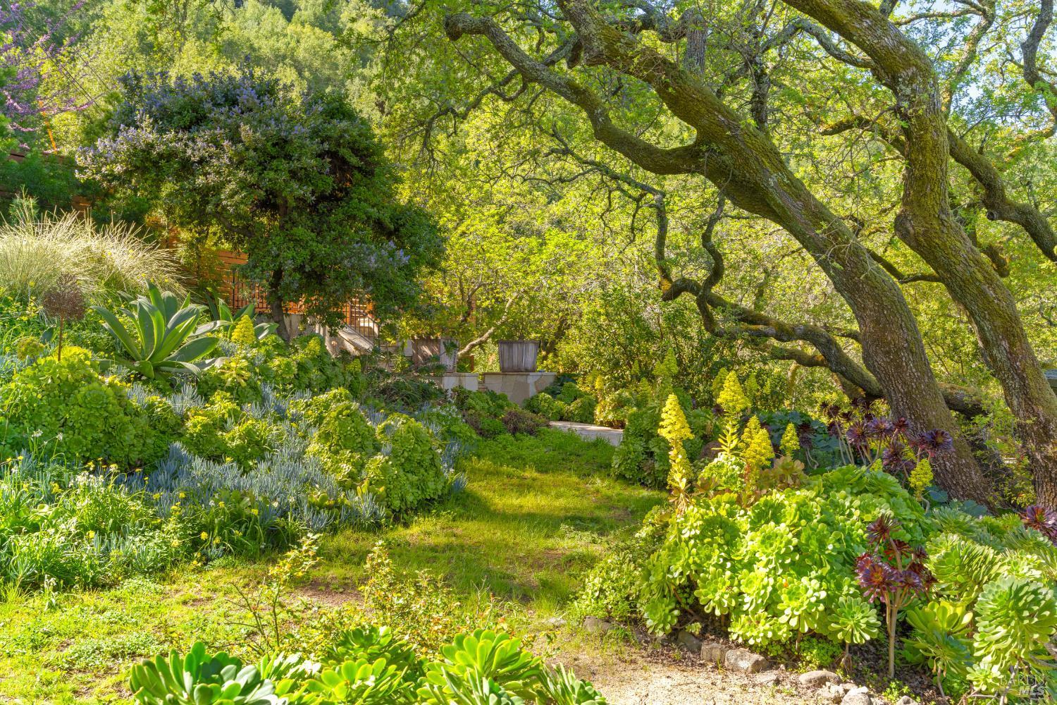 118 Francis Avenue, San Anselmo #59