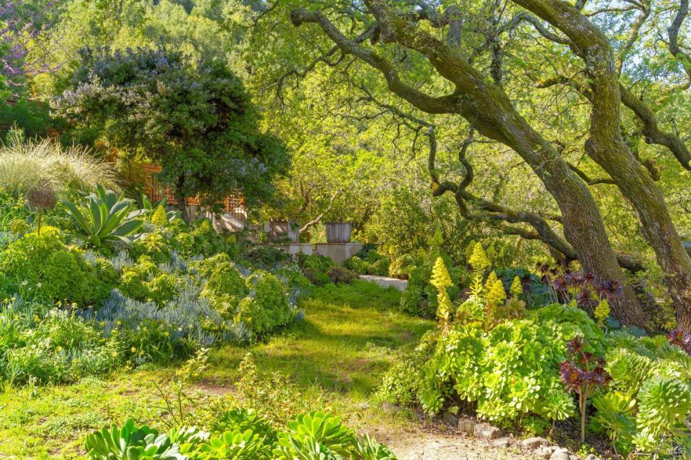 118 Francis Avenue, San Anselmo #59