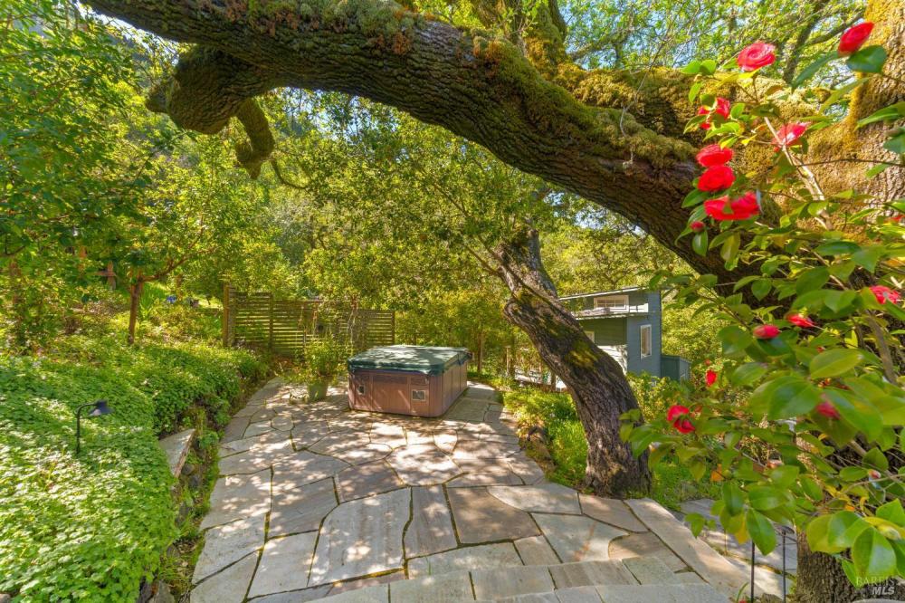 118 Francis Avenue, San Anselmo #59