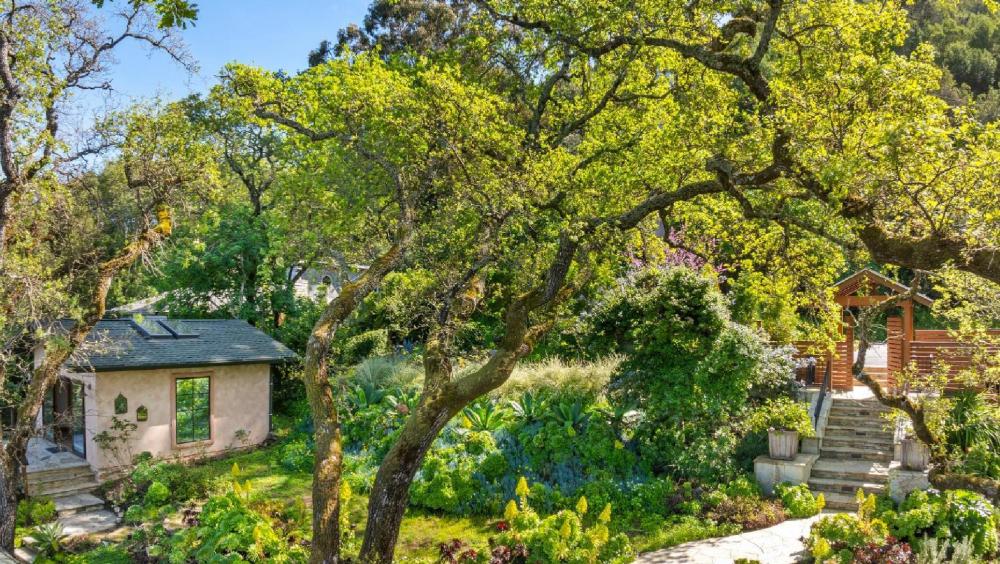 118 Francis Avenue, San Anselmo #59