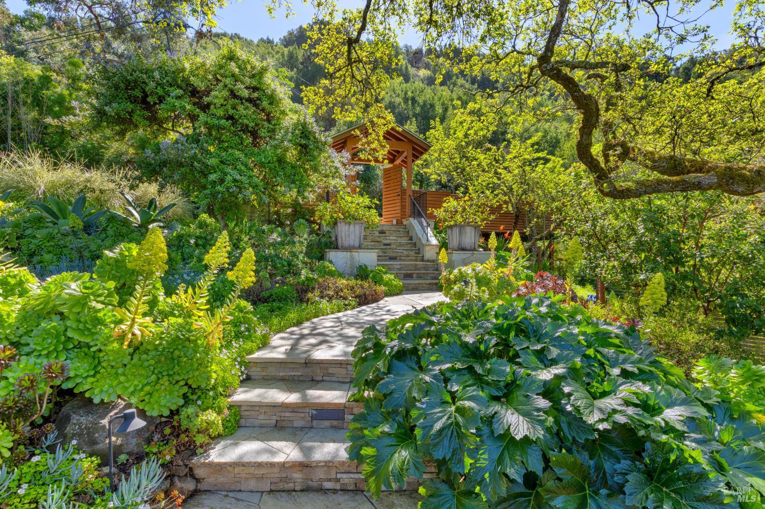 118 Francis Avenue, San Anselmo #59