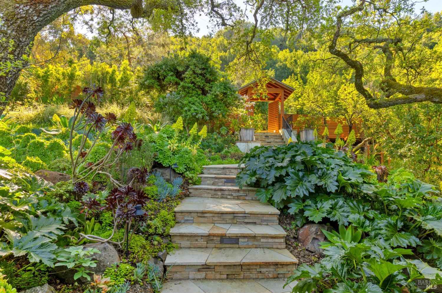 118 Francis Avenue, San Anselmo #59