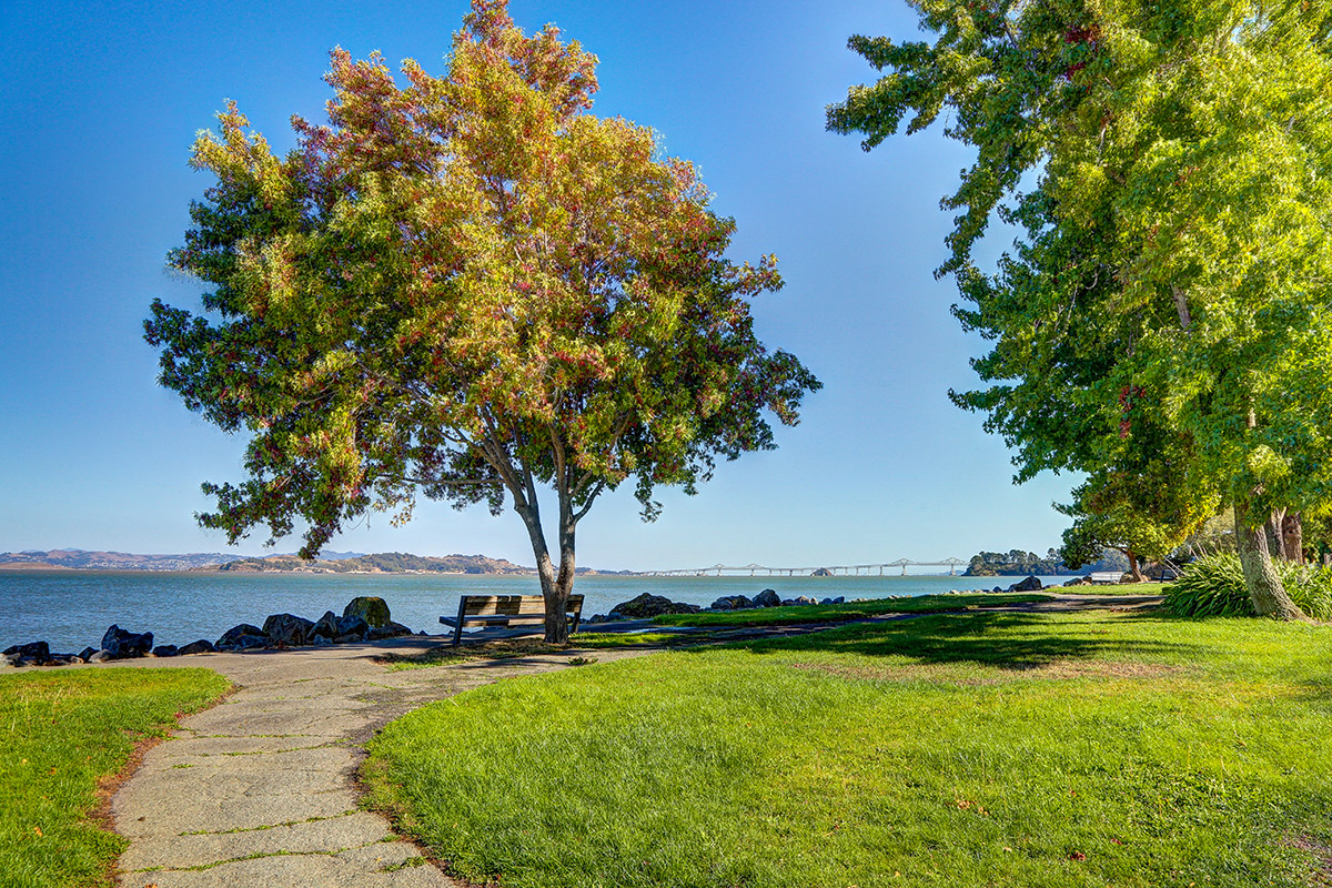 184 Peacock Drive, San Rafael #50