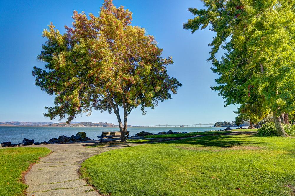 184 Peacock Drive, San Rafael #50