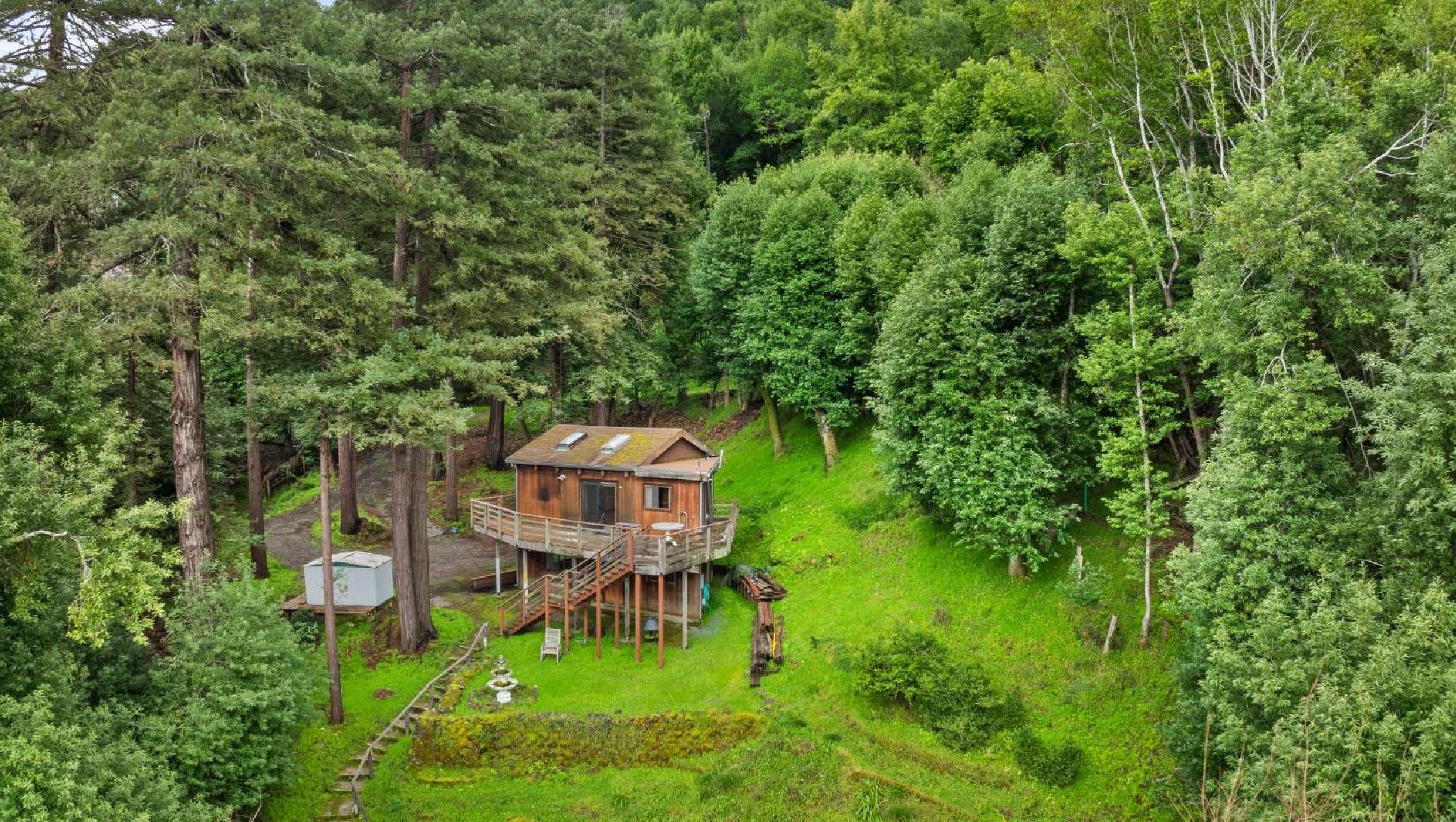 155 Forrest Avenue, Fairfax #15