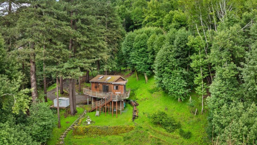 155 Forrest Avenue, Fairfax #15