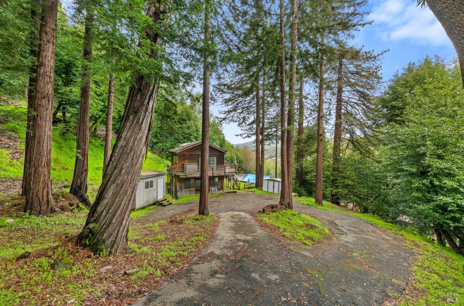 155 Forrest Avenue, Fairfax #15