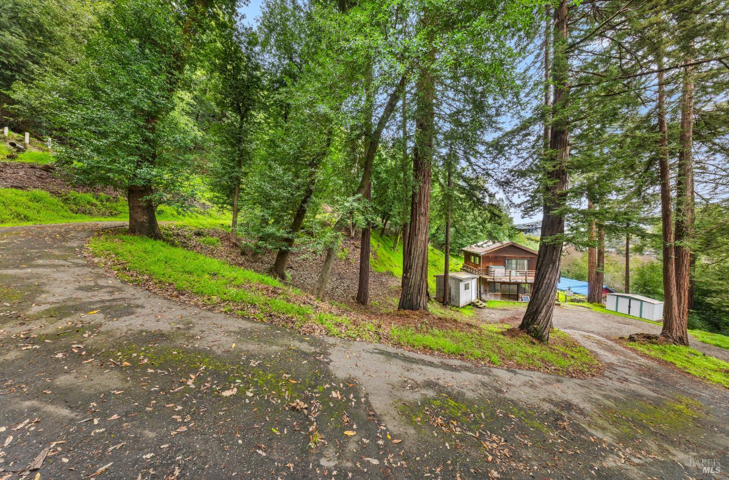 155 Forrest Avenue, Fairfax #15