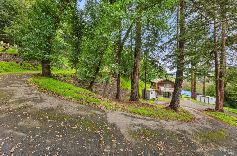 155 Forrest Avenue, Fairfax #15