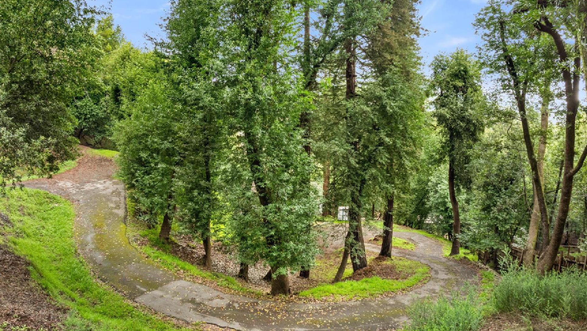 155 Forrest Avenue, Fairfax #15