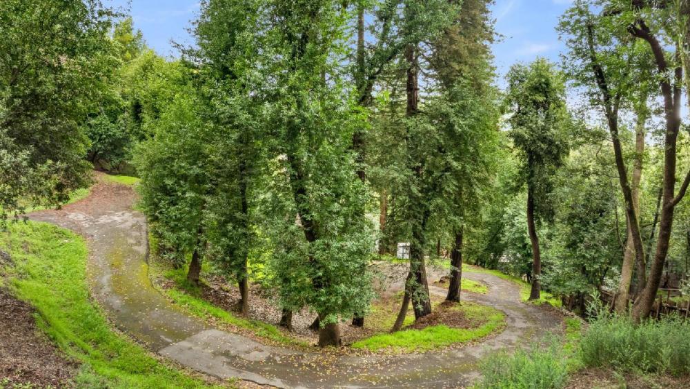 155 Forrest Avenue, Fairfax #15