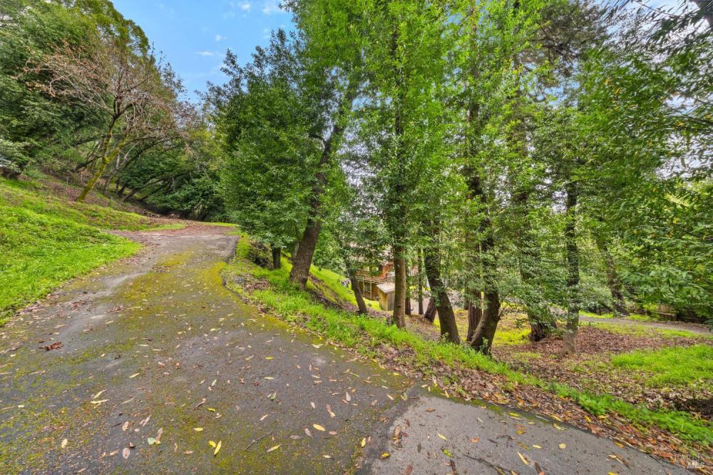 155 Forrest Avenue, Fairfax #15