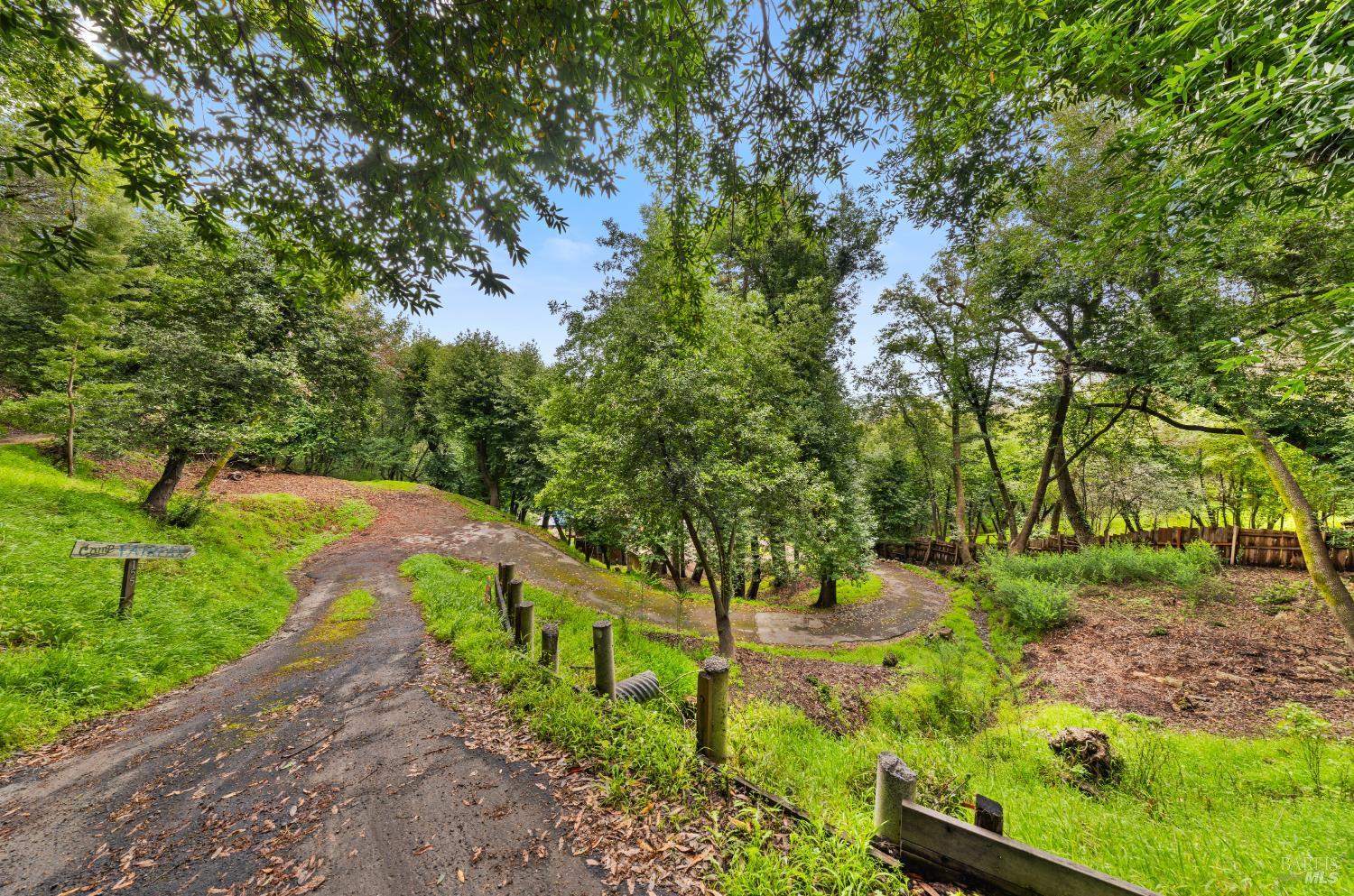 155 Forrest Avenue, Fairfax #15