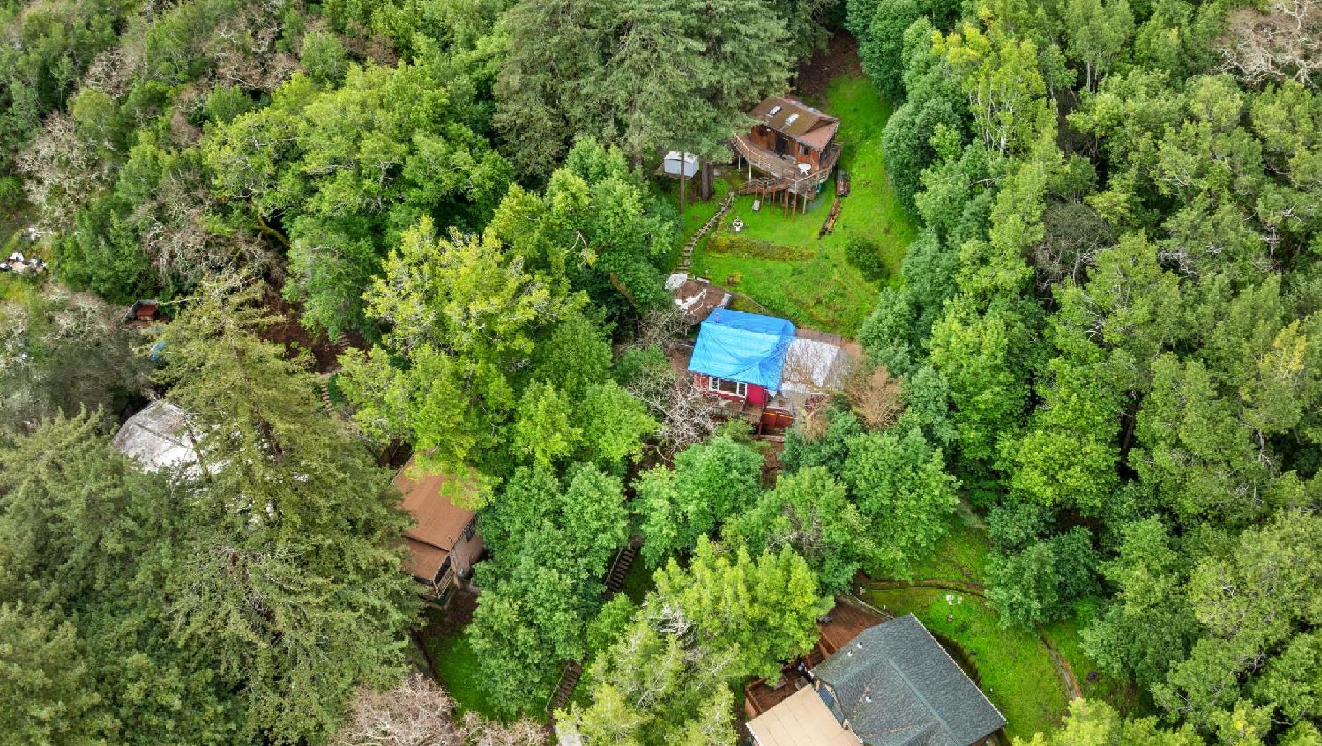 155 Forrest Avenue, Fairfax #15