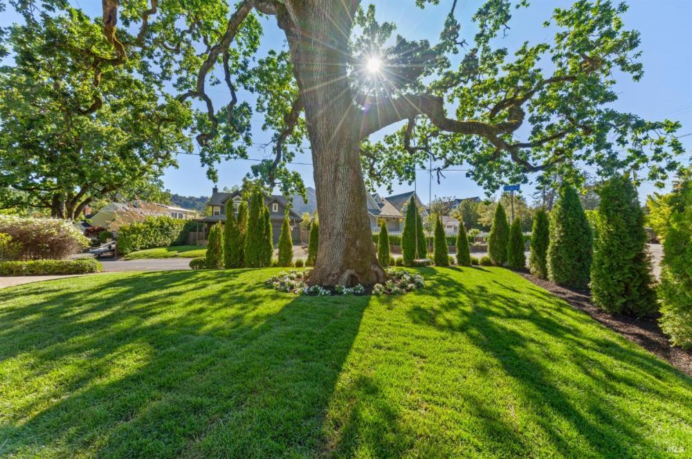 1 Lilac Avenue, Kentfield #74