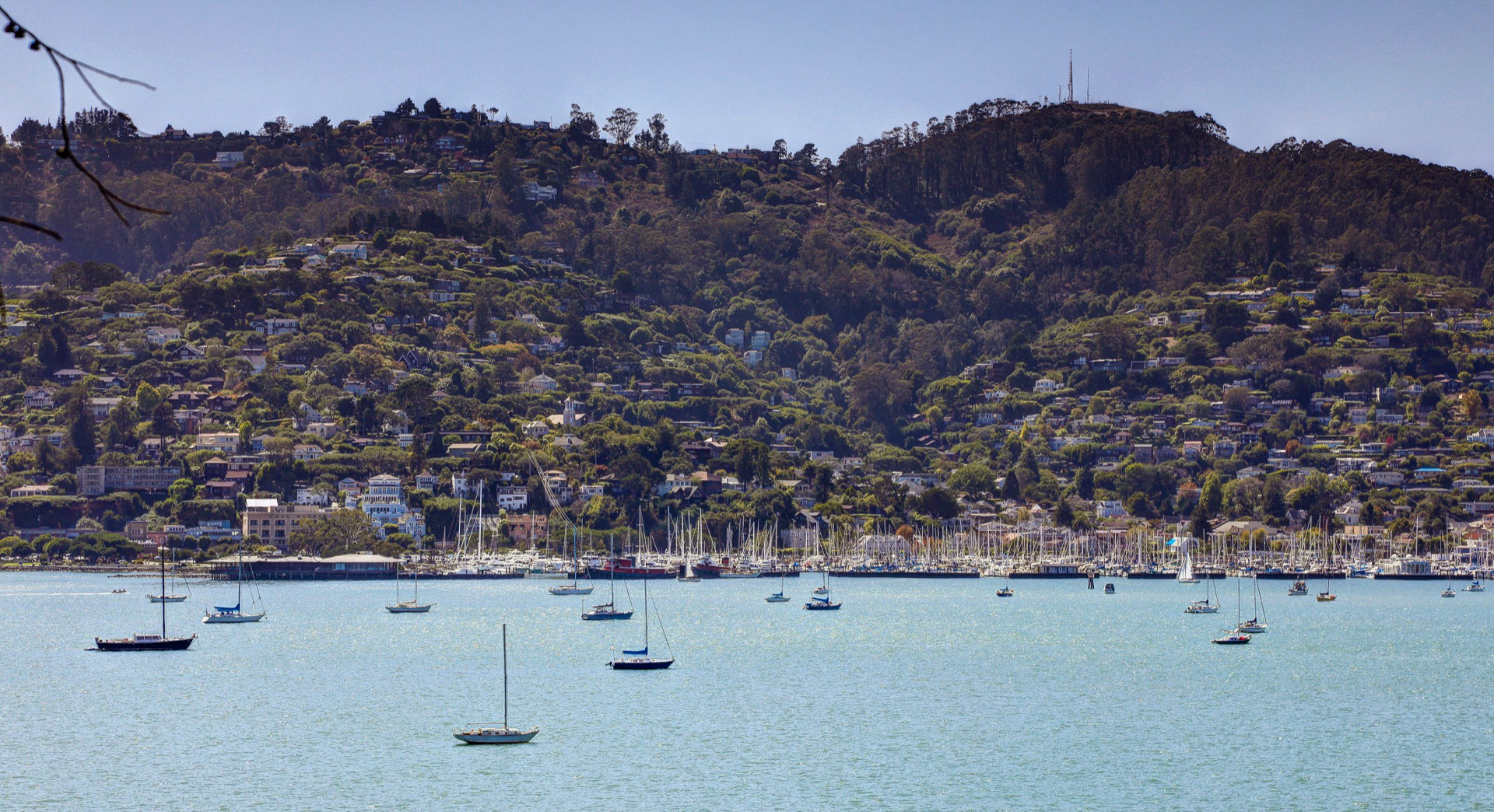 210 Beach Road, Belvedere #1