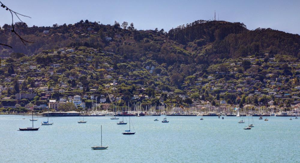 210 Beach Road, Belvedere #1