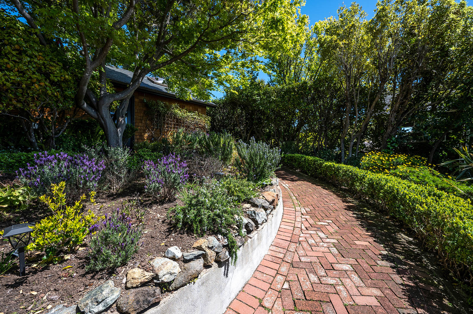 331 Golden Gate Avenue , Belvedere #66