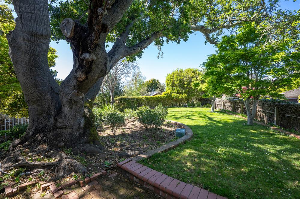 331 Golden Gate Avenue , Belvedere #66